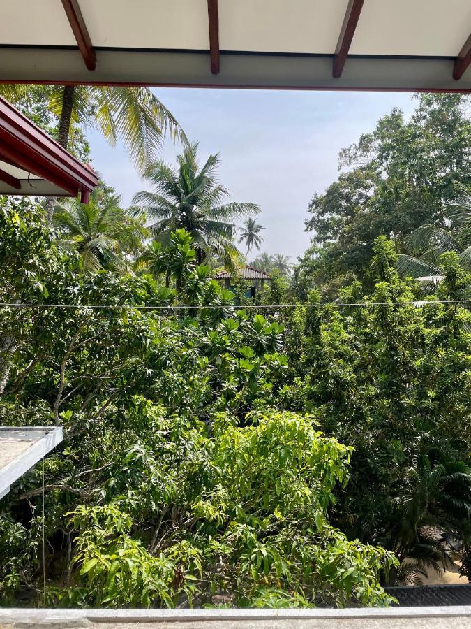Jungle Escape Hiriketiya Hotel Диквела Екстериор снимка
