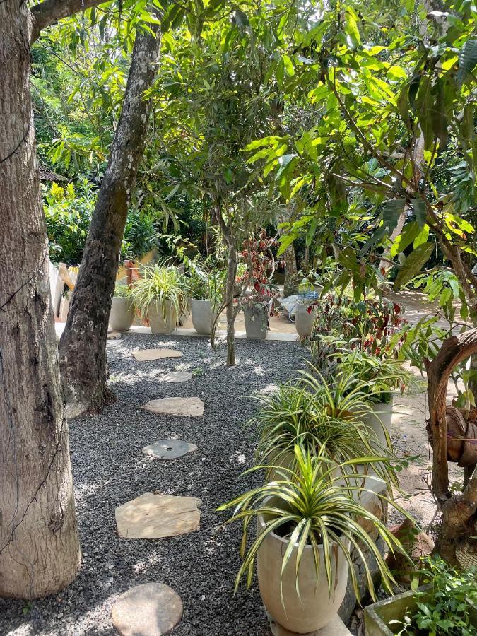 Jungle Escape Hiriketiya Hotel Диквела Екстериор снимка